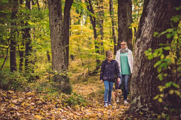 Mother and daughter hiking in a forest with dog