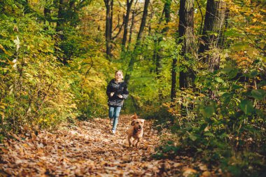 Kız ve köpek renkli sonbahar orman iz üzerinde çalışan