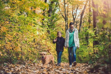 Anne ve kızı köpek ile bir ormandaki hiking