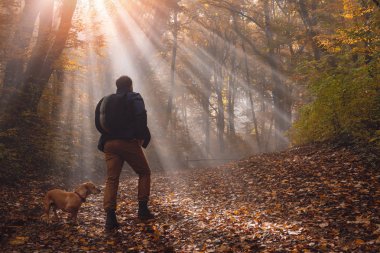 Adam ve sisli ormanın içinde köpek içinde belgili tanımlık geçmiş güneş ışınları ile