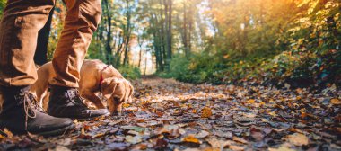 Adam köpek ile sonbahar renkli ormandaki hiking