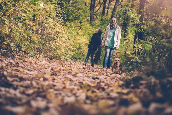 Mother and daughter hiking in a forest with dog