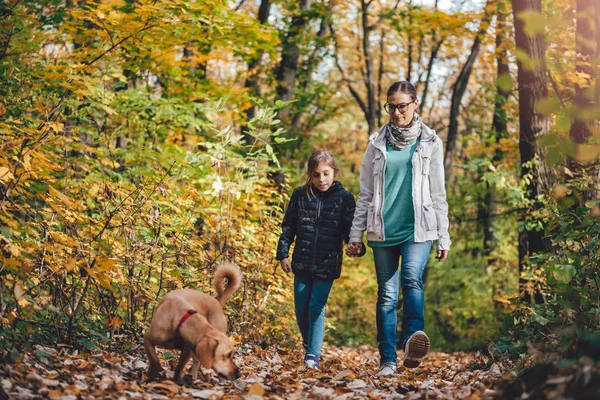 Anne Kızı Köpek Ile Bir Ormandaki Hiking — Stok fotoğraf