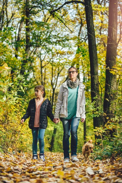 Mother and daughter hiking in a forest with dog