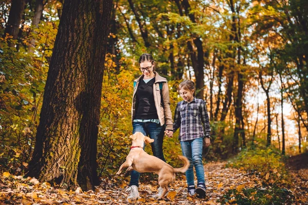 Μητέρα Και Κόρη Σκυλί Πεζοπορία Στο Πολύχρωμο Φθινόπωρο Δάσος — Φωτογραφία Αρχείου