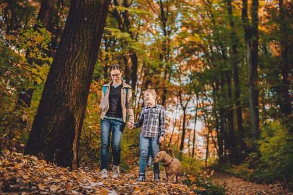 Matka Dcera Psem Turistika Barevné Podzimní Les — Stock fotografie