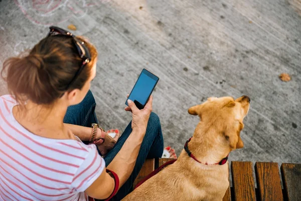 Γυναίκα Κάθεται Σκυλί Στο Πάρκο Και Χρησιμοποιώντας Τηλέφωνο — Φωτογραφία Αρχείου