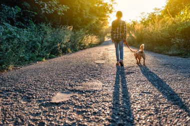 Küçük kız ve köpeği de yol günbatımı için yürüyüş