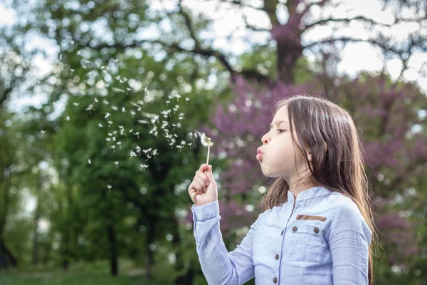 Foto Niña Soplando Diente León Parque —  Fotos de Stock