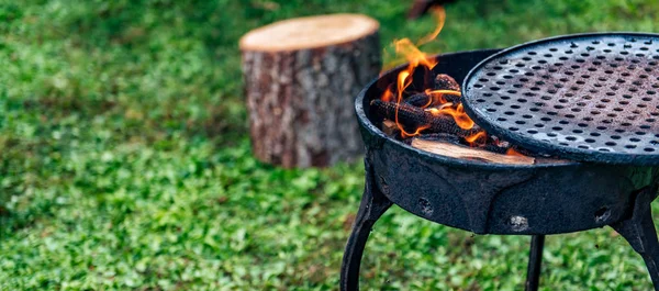 Barbecue Grill Gräsmattan Och Trä Logg Bakgrunden — Stockfoto