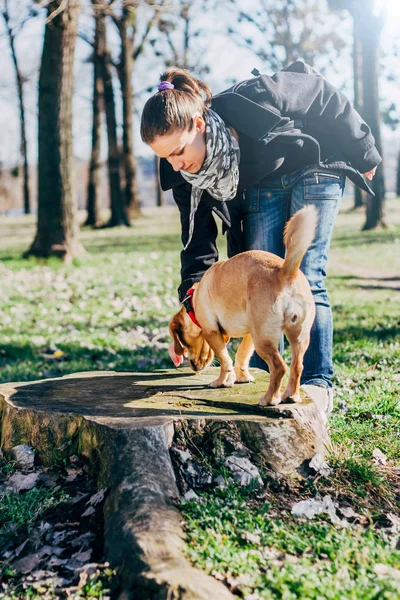 Jovem Mulher Com Cão Desfrutando Livre — Fotografia de Stock