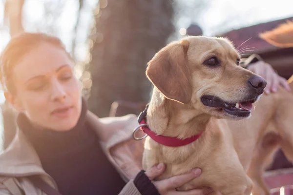 Perro Dueño Disfrutando Aire Libre — Foto de Stock