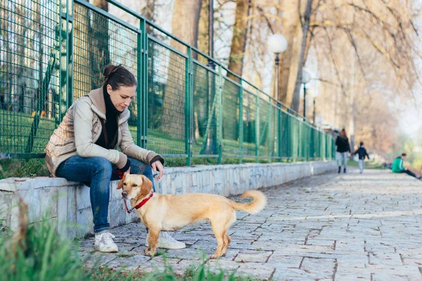 Woman Sitting Resting Fence Her Dog — Stock Photo, Image