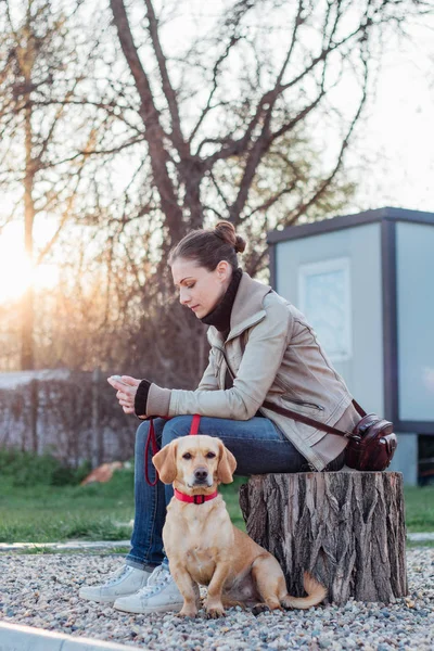 Mulher Sentada Toco Quintal Com Seu Cão — Fotografia de Stock