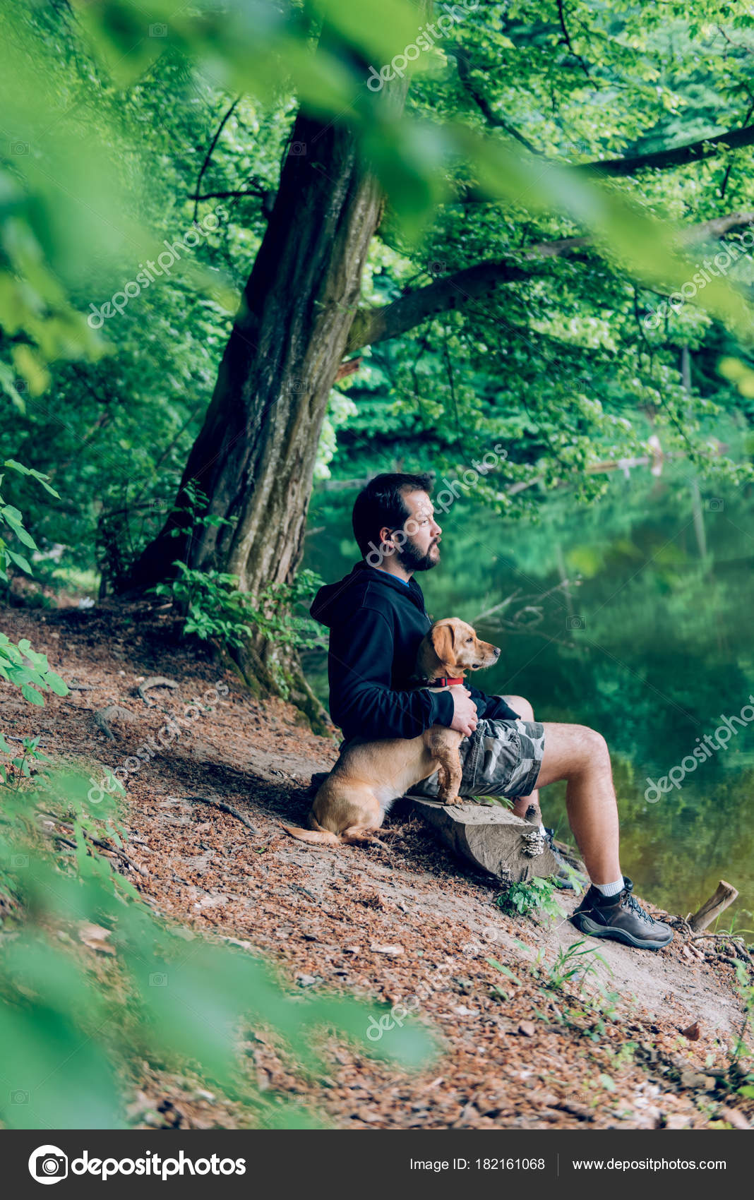Man Beard Sitting Tree Log Bench Dog Lake Stock Photo C Kerkezz