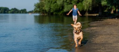 Kız köpekle plaj boyunca çalışan mavi gömlekli