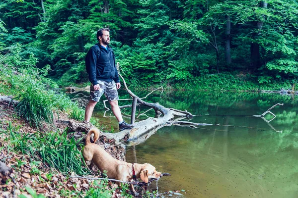 Człowieka Brodą Stojąc Pływających Dziennika Drzewa Przy Brzegu Jeziora Patrząc — Zdjęcie stockowe