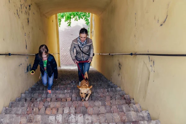 Madre Con Hija Perro Caminando Por Las Escaleras —  Fotos de Stock