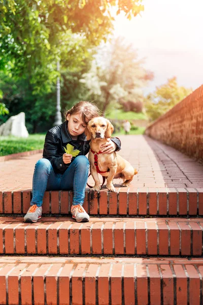 Pige Iført Sort Læderjakke Kramme Lille Gul Hund Sidder Trappen - Stock-foto