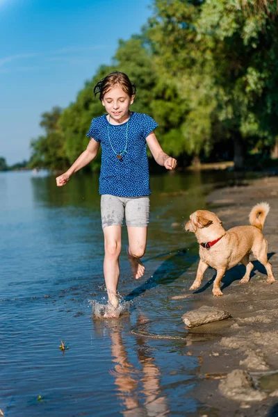 Pige Blå Skjorte Løber Langs Stranden Med Hund - Stock-foto