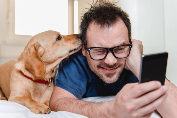 Köpek yatakta döşeme ve akıllı telefon kullanarak mavi gömlekli gözlüklü adam.