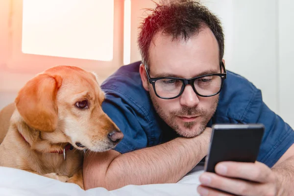 Köpek Yatakta Döşeme Akıllı Telefon Kullanarak Mavi Gömlekli Gözlüklü Adam — Stok fotoğraf
