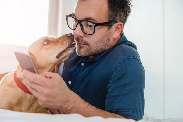 Man Glasses Blue Shirt Laying Bed Dog Using Smart Phone — Stock Photo, Image