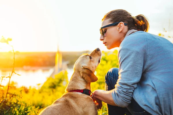 Köpek Bir Çayır Üzerinde Oturan Sahibi Dinleme — Stok fotoğraf