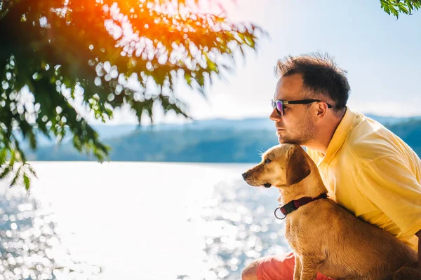 Bărbat Cămașă Galbenă Ochelari Soare Ținând Capul Capul Câinilor — Fotografie, imagine de stoc