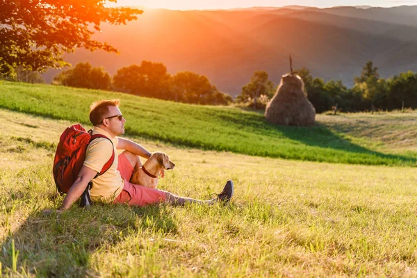 Adam Sarı Tişört Güneş Gözlüğü Dağ Çayır Köpeğiyle Oturuyor Batımını — Stok fotoğraf