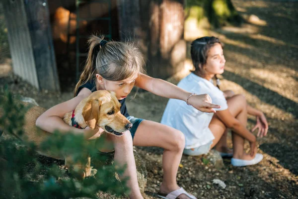 Joven Hembra Señalando Abrazando Pequeño Perro Amarillo Patio Recreo — Foto de Stock