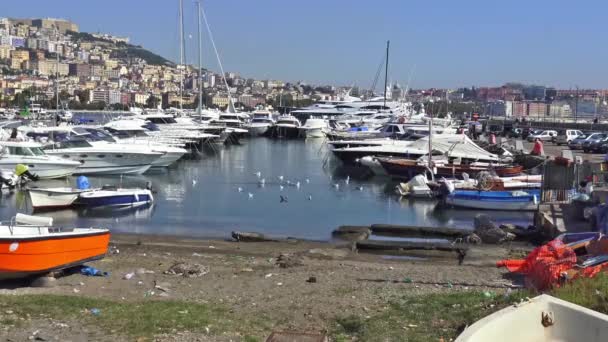 Napoli Porto Mergellina Con Gabbiani Rapido Movimento Senza Audio — Video Stock