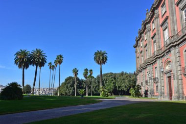 İtalya, Napoli. 13 Ekim 2017 Capodimonte, Kraliyet Sarayı 1738 Borbone Kral Charles buyruğuyla başlayarak inşa, Kraliyet Sarayı, bağlı bir park ile. Belvedere çeşme ve palmiye ağaçları ile