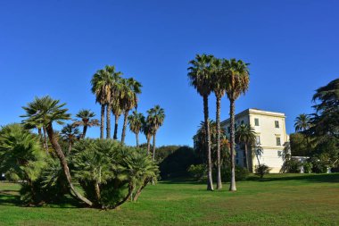 İtalya, Napoli. 13 Ekim 2017 Capodimonte, Kraliyet Sarayı 1738 Borbone Kral Charles buyruğuyla başlayarak inşa, Kraliyet Sarayı, bağlı bir park ile. Principi casina