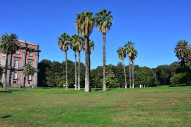 İtalya, Napoli. 13 Ekim 2017 Capodimonte, Kraliyet Sarayı 1738 Borbone Kral Charles buyruğuyla başlayarak inşa, Kraliyet Sarayı, bağlı bir park ile. Ana cephe