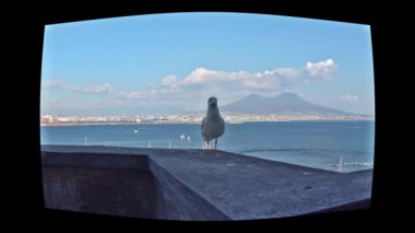 4 k Napoli, Napoli, tüf Megaride adacık üzerinde bulunan en eski kale Ovo Castle (yaklaşık 1100) var. Arkadaş martı ziyaretçi kale duvarında görünüyor. Klip 2