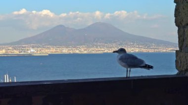 4 k Napoli, Napoli, tüf Megaride adacık üzerinde bulunan en eski kale Ovo Castle (yaklaşık 1100) var. Arkadaş martı Vesuvius görünüyor kale duvarına. Klip 1