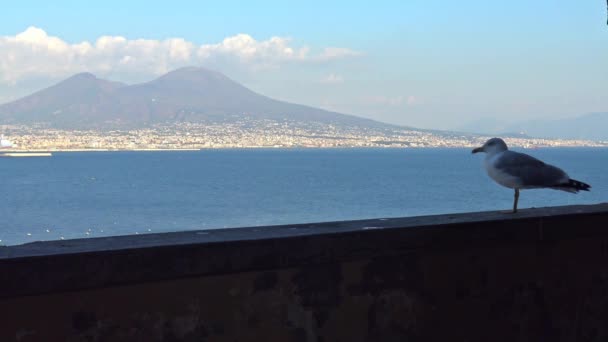 Nápoles Castelo Ovo Cerca 1100 Castelo Mais Antigo Nápoles Localizado — Vídeo de Stock