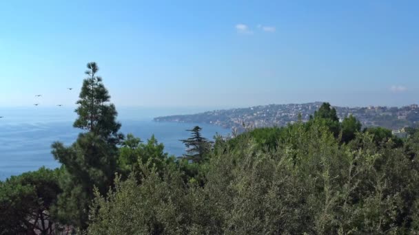 Italy Naples Panorama Flight Birds Slow Motion Viewed Hanging Garden — Stock Video