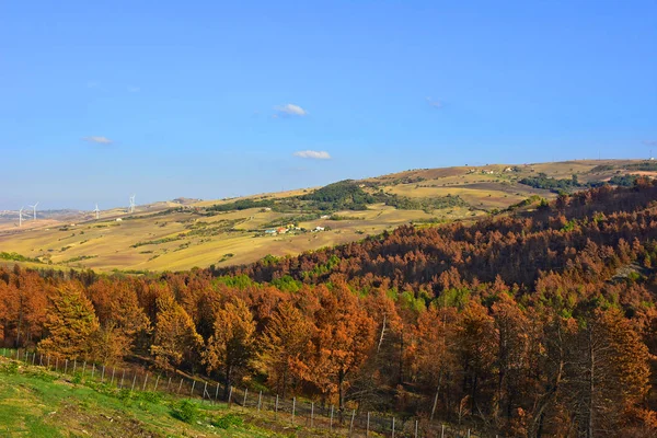 Italien Panorama Der Kultivierten Hügellandschaften Typisch Für Die Berge Des — Stockfoto