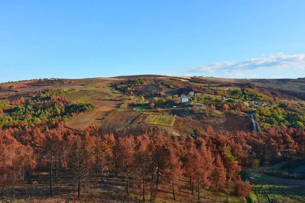 Italia Panorama Delle Zone Collinari Coltivate Tipiche Delle Montagne Dell — Foto Stock