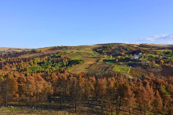 Italien Panorama Der Kultivierten Hügellandschaften Typisch Für Die Berge Des — Stockfoto