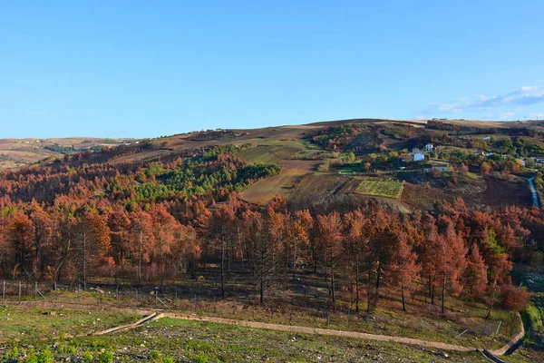 Italia Panorama Las Zonas Montañosas Cultivadas Típicas Las Montañas Los — Foto de Stock