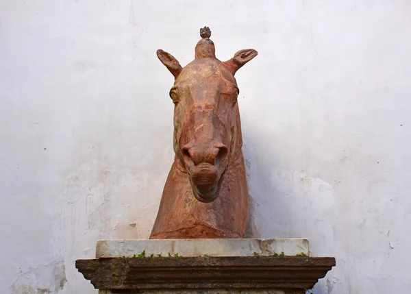 Italy Naples October 2017 Terracotta Horse Bust Symbol City Naples — Stock Photo, Image