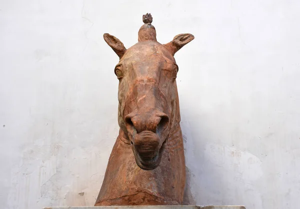 Itália Nápoles Outubro 2017 Busto Cavalo Terracota Símbolo Cidade Nápoles — Fotografia de Stock