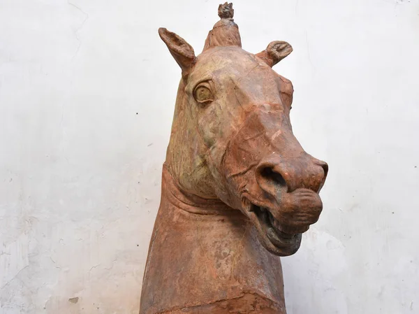 Italia Napoli Ottobre 2017 Busto Cavallo Terracotta Simbolo Della Città — Foto Stock