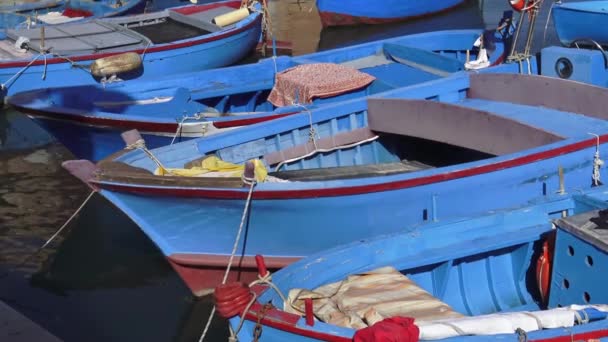 Italy Puglia Typical Fishing Boat Moored Port — Stock Video