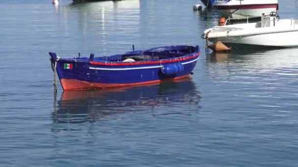 Italy Puglia Typical Fishing Boat Moored Port — Stock Video