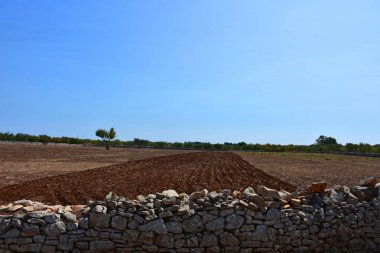 İtalya, Puglia, yollar ve arazi özellikleri sınırlandırmak için tipik taş Kuru taş duvarlar.