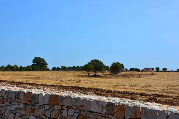 Italy, Puglia, typical stone dry stone walls to delimit roads and land properties.